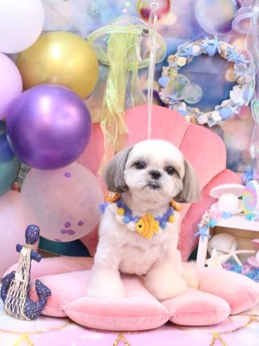 20240824かなたくん